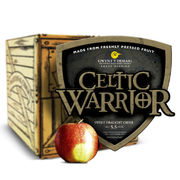 Celtic Warrior Box