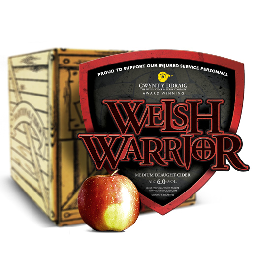 Welsh Warrior Box